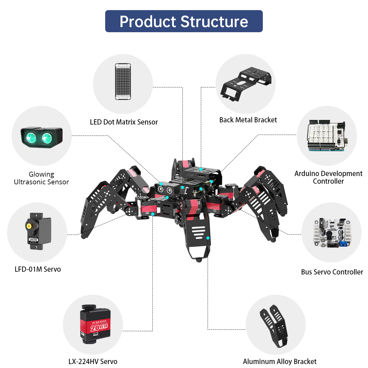 หุ่นยนต์แมงมุม Hiwonder Spider - Robot Kit บทวิจารณ์และราคา