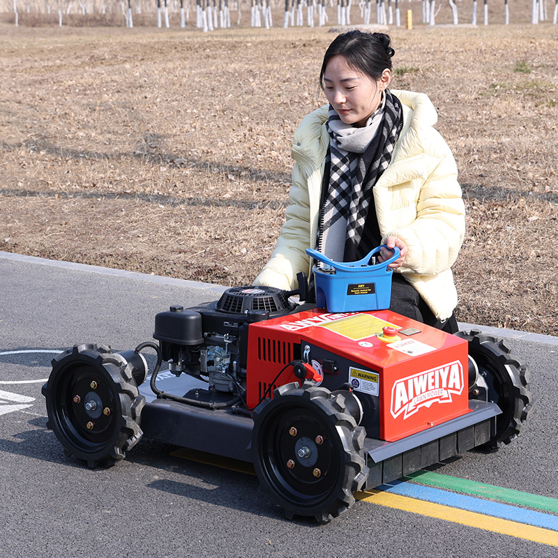หุ่นยนต์ตัดหญ้าแบบกำหนดเองได้  - Robot Wheel บทวิจารณ์และราคา