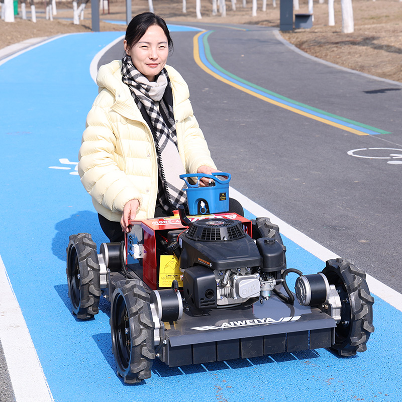 หุ่นยนต์ตัดหญ้าแบบกำหนดเองได้  - Robot Wheel บทวิจารณ์และราคา